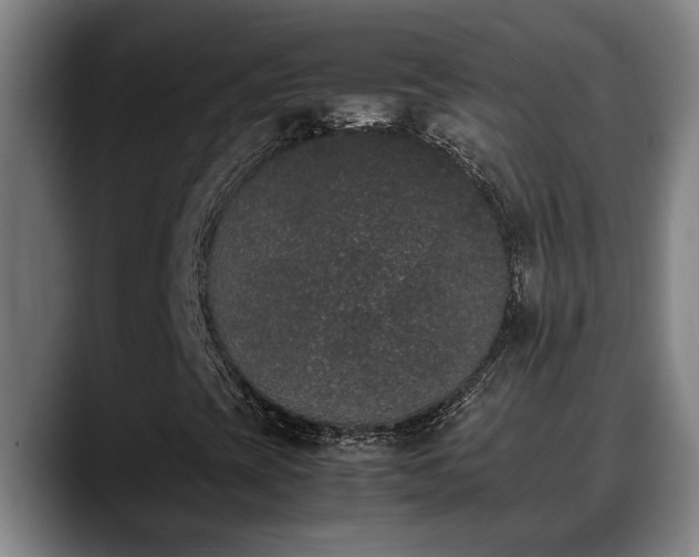 X0000090411393200707201052
