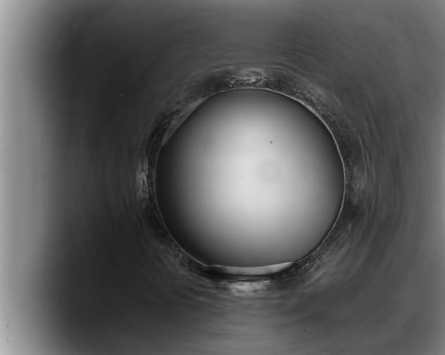 X0000090411394200707201052