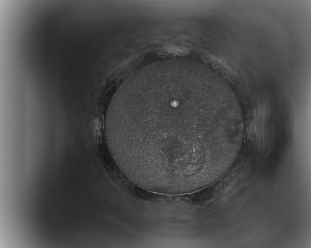 X0000090411397200707201052