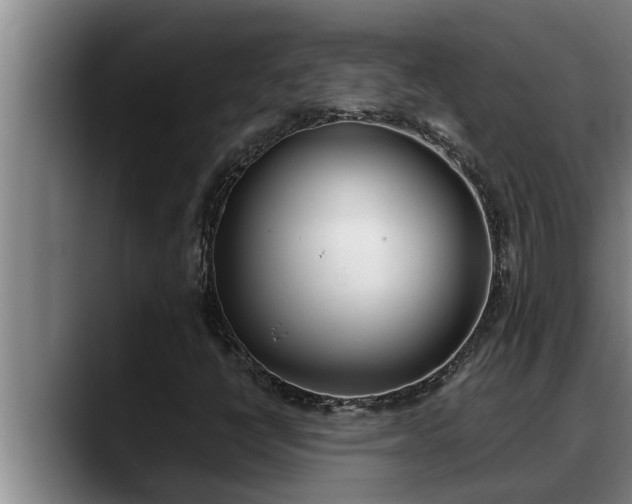 X0000090411398200707201052