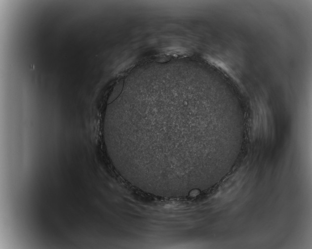 X0000090411399200707201052