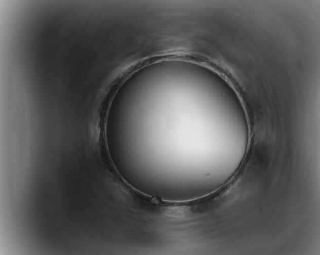 X0000090411406200707201052