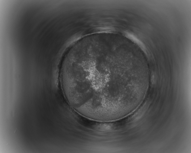 X0000090411411200707201052