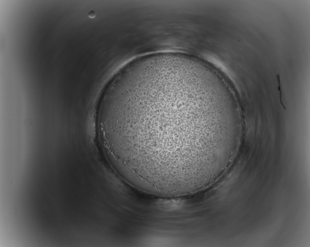 X0000090411415200707201052