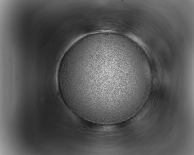 X0000090411423200707201052
