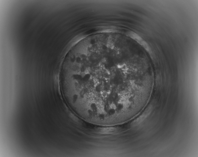 X0000090411425200707201052