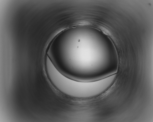 X0000090411426200707201052