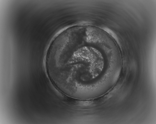 X0000090411429200707201052