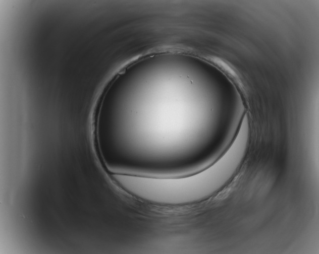 X0000090411430200707201052