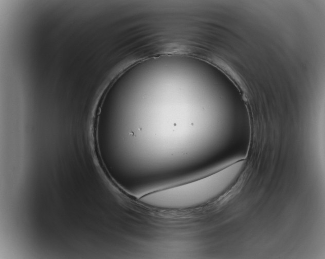 X0000090411434200707201052
