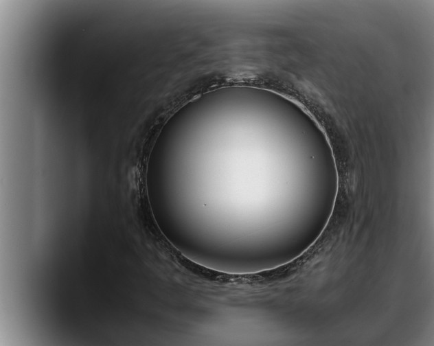 X0000090411445200707201052