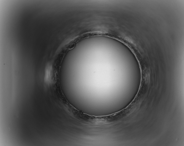 X0000090411448200707201052