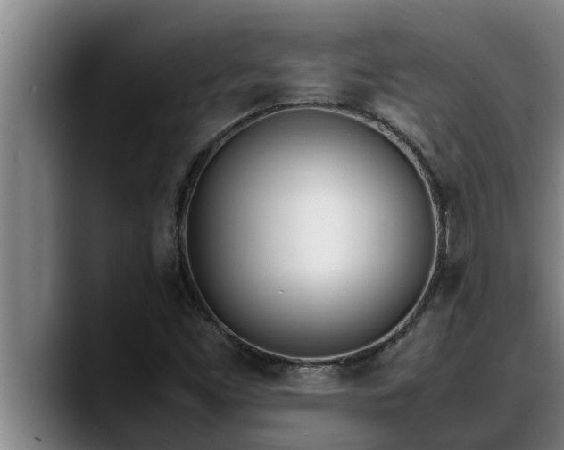 X0000090411453200707201052