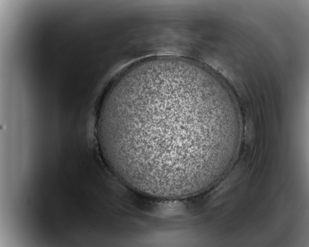 X0000090411454200707201052