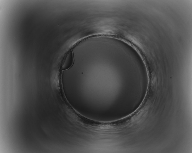 X0000090411455200707201051
