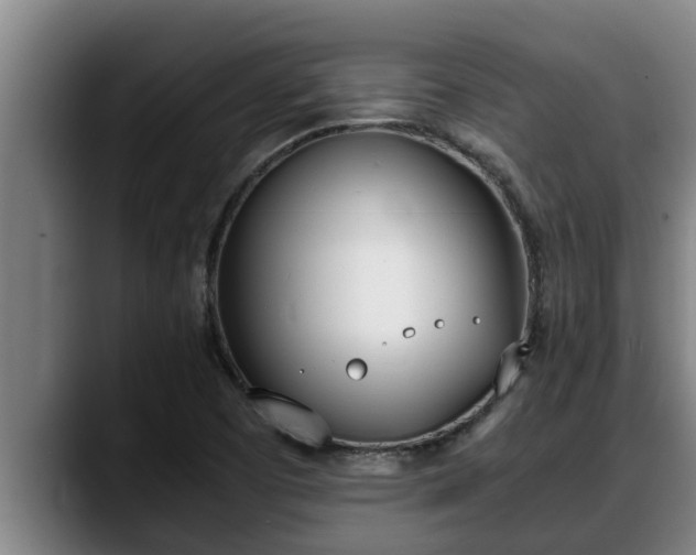 X0000090411457200707201051