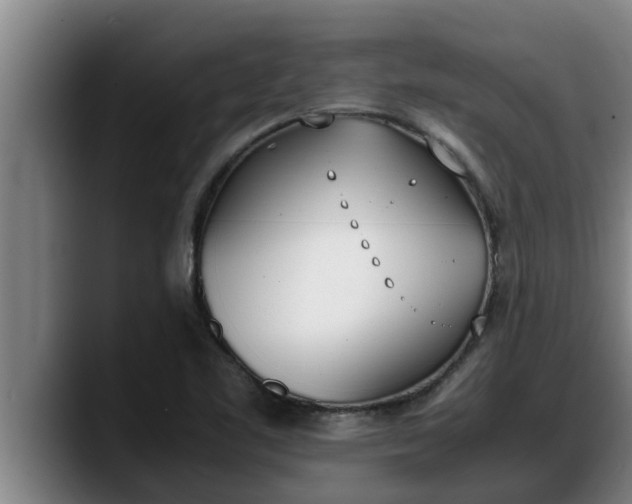 X0000090411461200707201051
