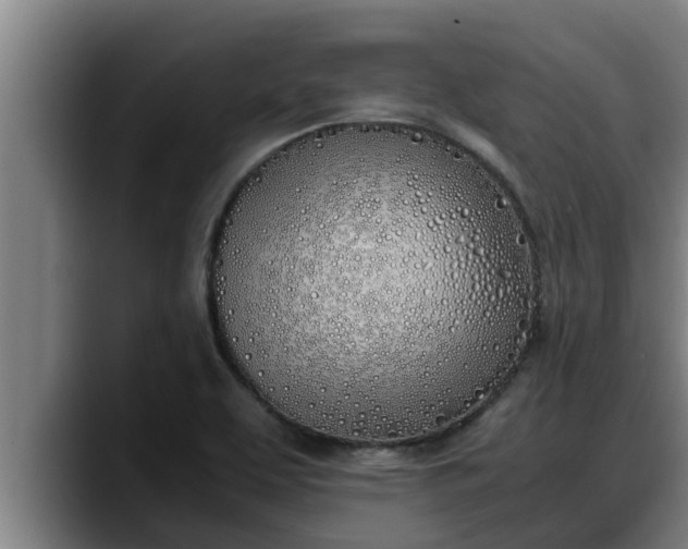 X0000090411463200707201051