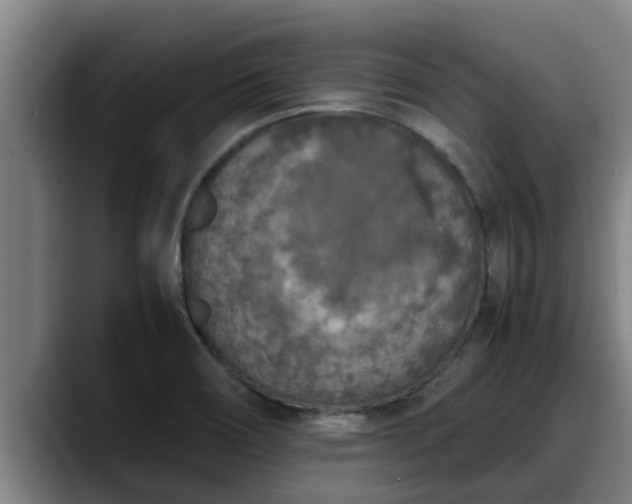 X0000090411466200707201051