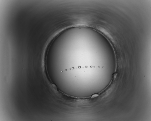 X0000090411469200707201051