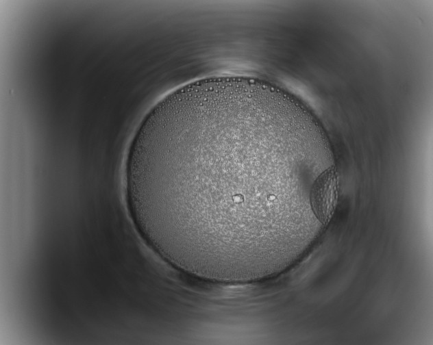 X0000090411471200707201051