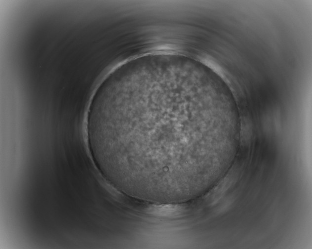 X0000090411474200707201051