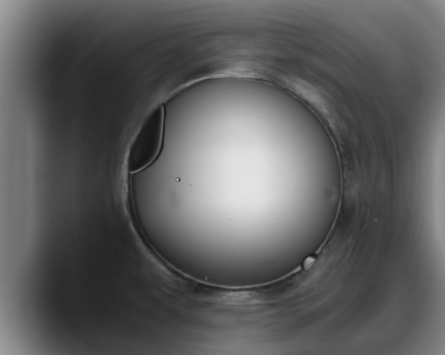 X0000090411479200707201051