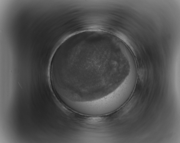 X0000090411482200707201051