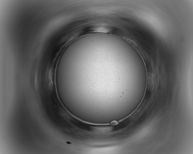 X0000090411487200707201051