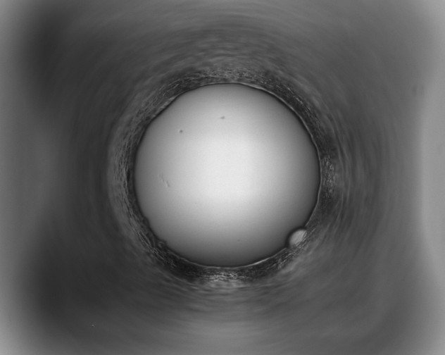 X0000090411489200707201051