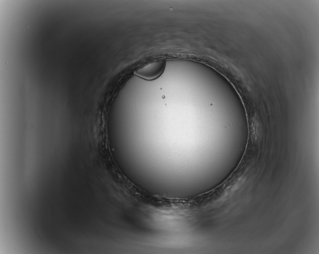 X0000090411494200707201051
