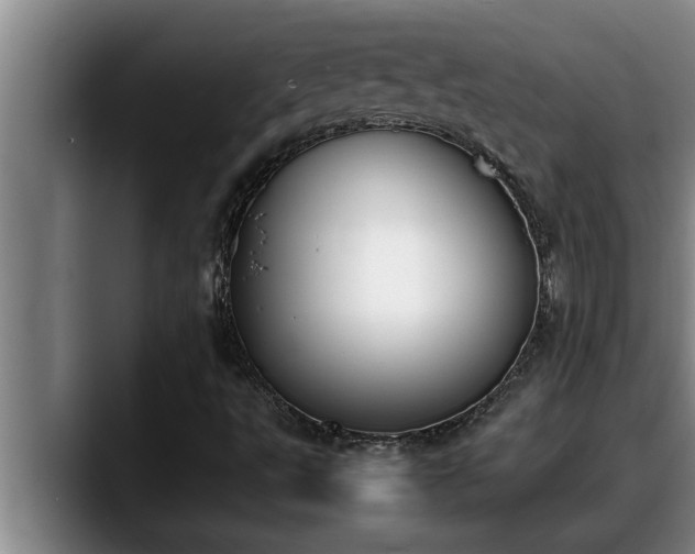X0000090411495200707201051