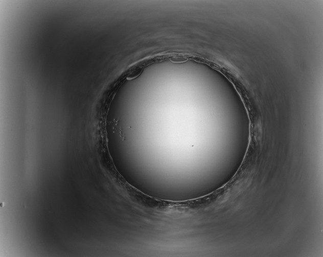 X0000090411496200707201051