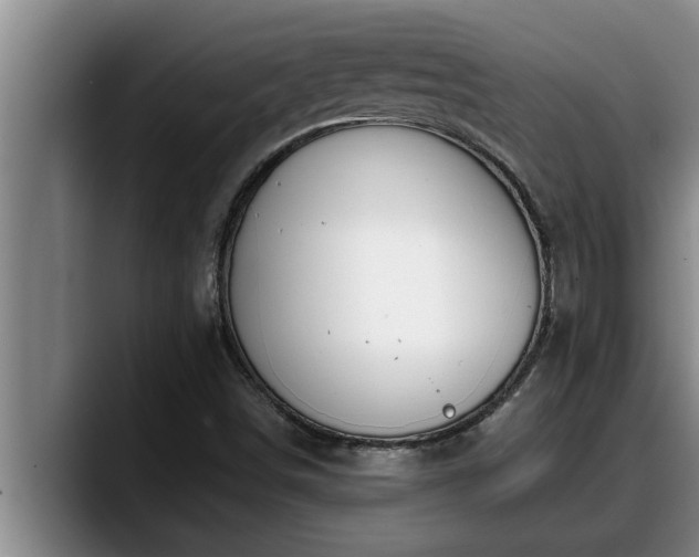 X0000090411498200707201051