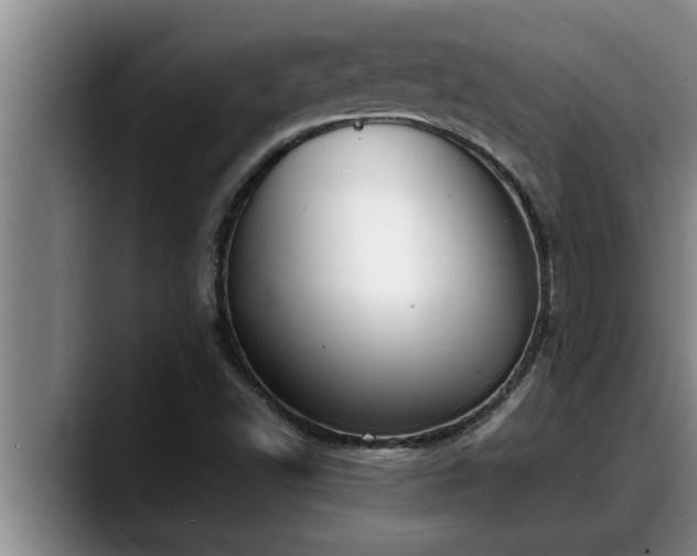 X0000090411502200707201051