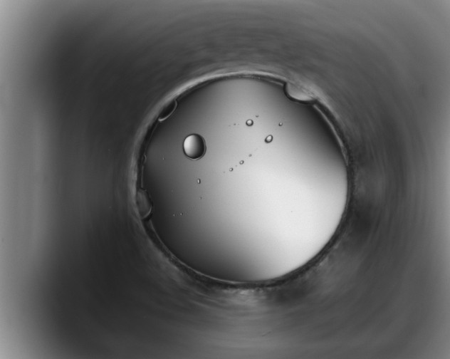 X0000090411508200707201051