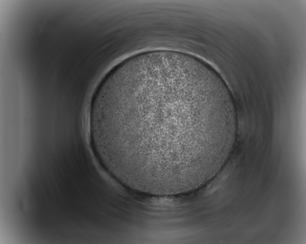 X0000090411515200707201051