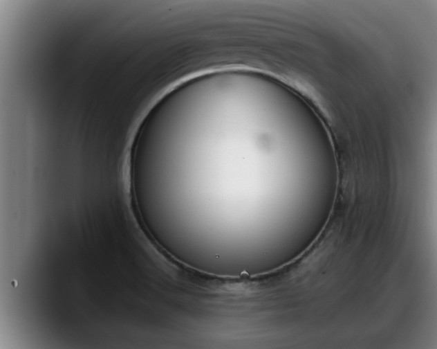 X0000090411516200707201051
