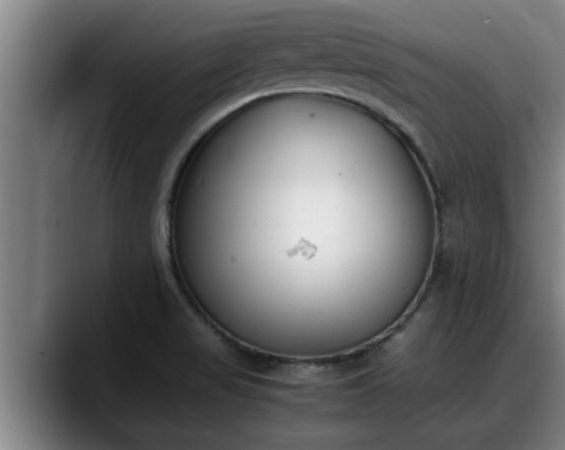 X0000090411517200707201051