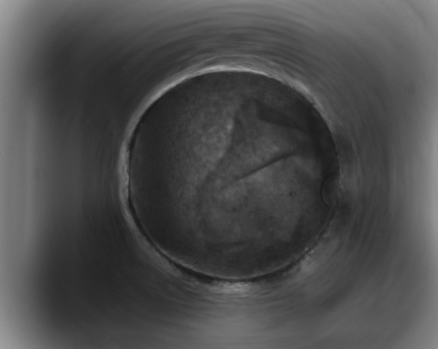 X0000090411522200707201051