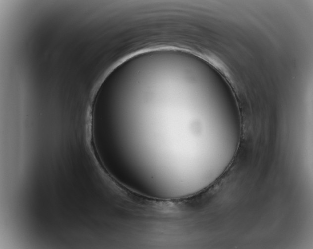 X0000090411524200707201051