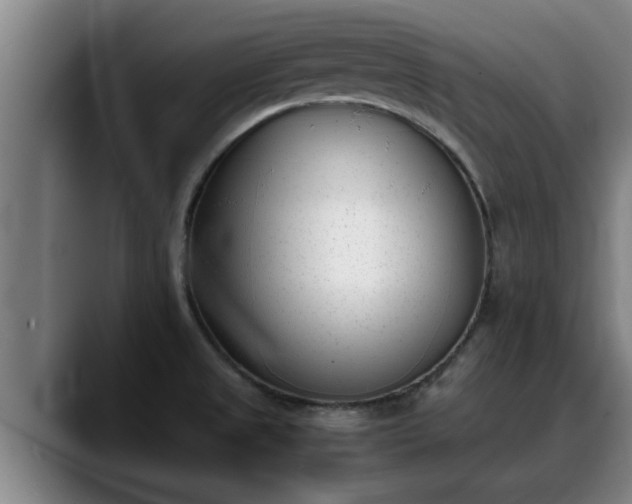 X0000090411525200707201051
