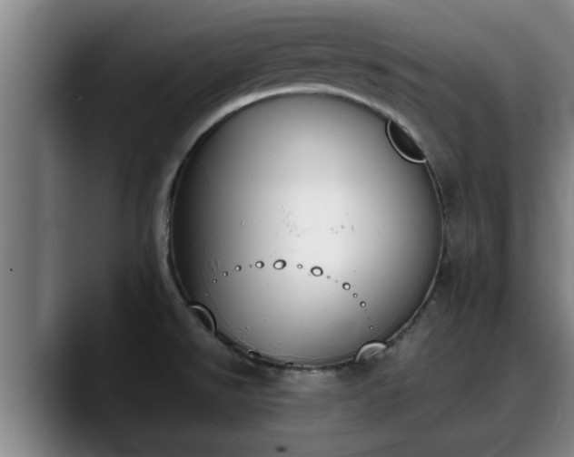 X0000090411526200707201051