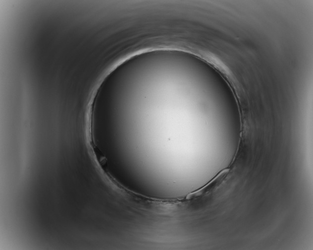 X0000090411528200707201051
