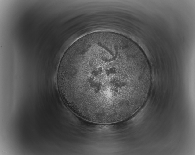 X0000090411529200707201051