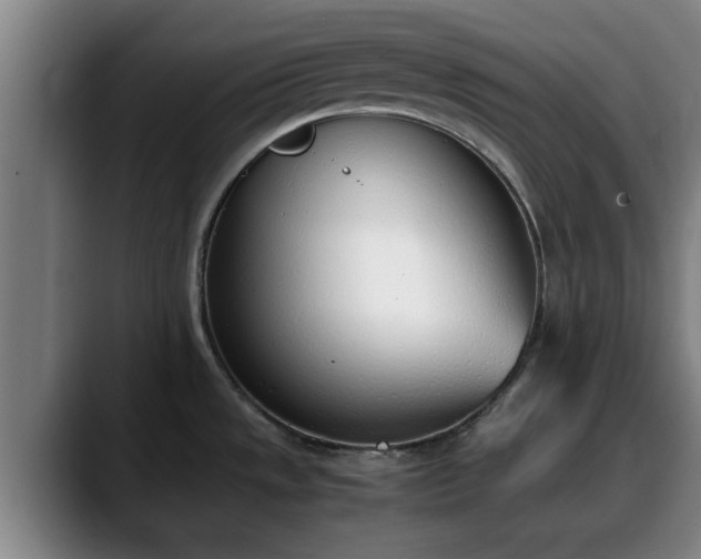 X0000090411533200707201051