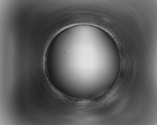 X0000090411535200707201051