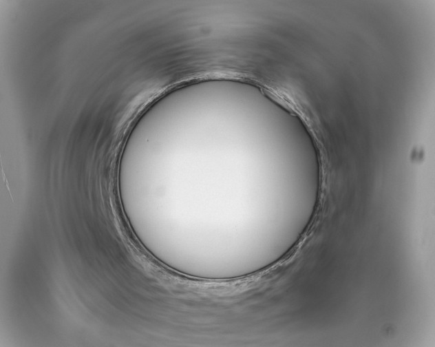 X0000090410001200707272059