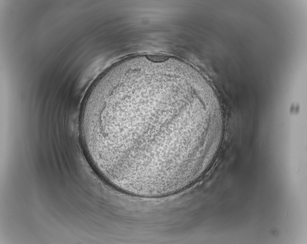 X0000090410002200707272059