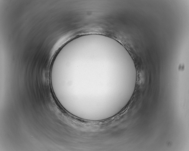 X0000090410004200707272059